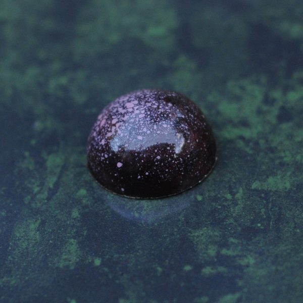 Pomegranate - Image 2
